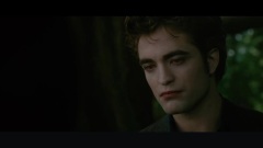 Robert Pattinson,Kristen Stewart - Still The One