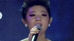 华语群星 - 但愿人长久