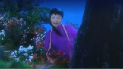 彭丽媛 - 血里火里又还魂