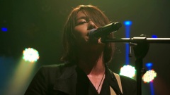 Royal Pirates - Get Lucky