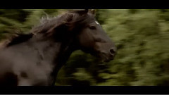 Katy Perry - Dark Horse(Cover)