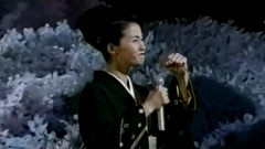 坂本冬美 - 风に立つ