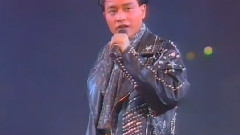 张国荣 - 暴风一族