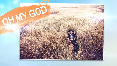 B1A4 - 2ND ALBUM 'WHO AM I' Exclusive Collection