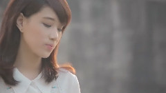 华语群星 - 在夏天蒸发之前