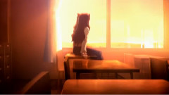 动漫专属 - Fate Stay Night 绚烂的凛喵~