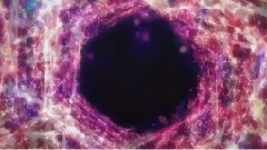 动漫专属 - True Eyes