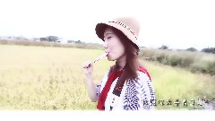 华语群星 - 小公主