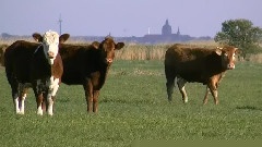 Ostsee Mecklenburg Urlaub