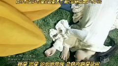泽尻绘里香 - 太阳之歌(剧情版)