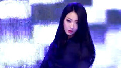Nine Muses - WILD