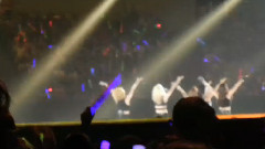 SPICA - YDLM