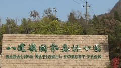 长城脚下 红叶岭