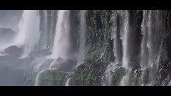 微极