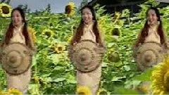 刘珺儿 - 野花不要采