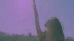 魏晨,何洁 - 月光爱人