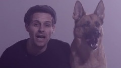 Wake The Dogs