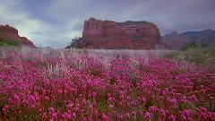 音乐短片,风景 - 峡谷地国家公园