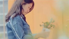 朴信惠 - My Dear(副题:花)