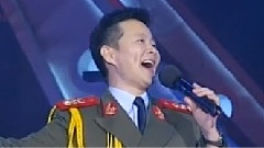 王宏伟 - 西部放歌