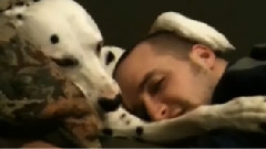搞笑音乐 - Dalmatian Consoles Her Sad Owner