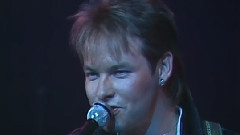 Cutting Crew - (I Just) Died In Your Arms