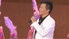王宏伟 - 美丽的姑娘