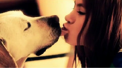 Gummy - Love Recipe