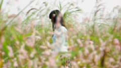 陈绮贞 - 鱼