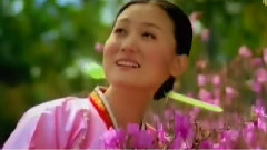 谭晶 - 金达莱