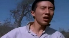 华语群星 - 星夜的离别
