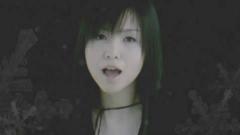 ZONE - 白い花