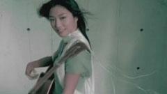 张玉华 - 我不会飞