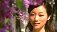 韩雪 - 紫藤花
