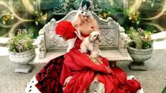 Gwen Stefani - What You Waiting For