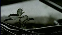 羽泉 - 感觉不到你
