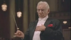 西洋乐 - Bernstein Mozart