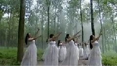 华语群星 - 神奇的土地