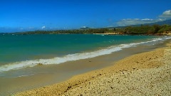轻音乐 - Island Luau