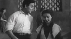 Shahzoda - Bahor