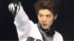 EXO,EXO-M - Wolf