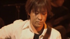 Every Little Thing - Stray Cat