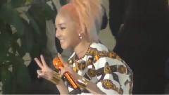 2NE1,Sandara Park - Ugly