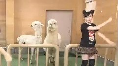 福原遥 - なめこのうた