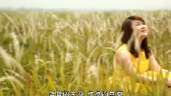 游美灵 - 草原人家