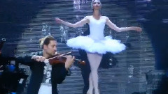 David Garrett - Swan Lake