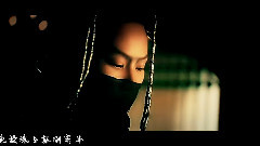 河图,甄子丹 - 倾尽天下