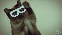 搞笑音乐 - Best Dubstep Cat