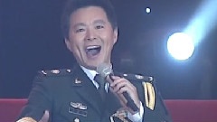 王宏伟 - 西部放歌