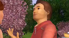 游戏原声 - The Sims 3 Seasons